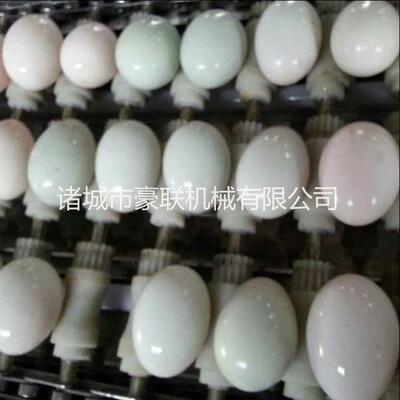 定做全自动洗蛋机/毛刷+喷淋清洗蛋类洗净率高/蛋品清洗加工线