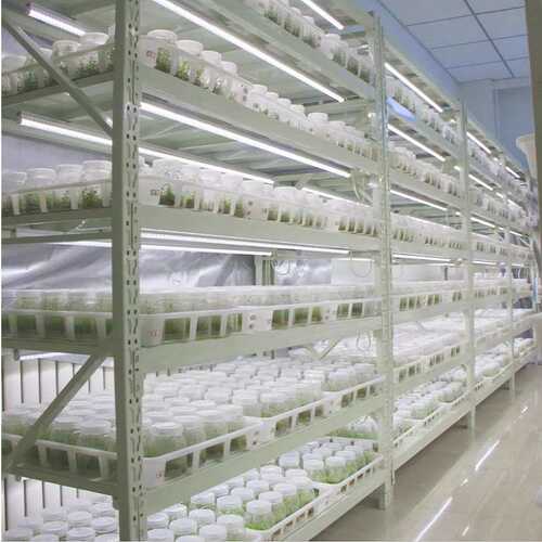 批发植物组培架多层光照LED培养架实验室植物生长架育苗生长架