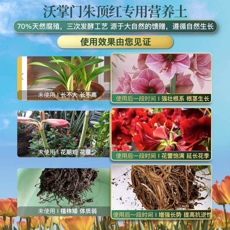 花糠土红专通用型土壤营养泥炭酸性种植土肥球朱顶椰有机用土种土