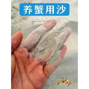 天然贝壳沙相手蟹辣椒蟹专用沙鱼缸造景寄居蟹底砂调节水质化妆沙
