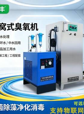 臭氧发生器自来水处理氧化杀菌设备净化消毒系统降COD工业臭氧机