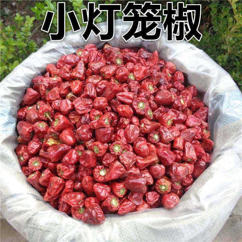 贵州小个灯笼椒 草莓椒 小灯笼椒中辣特香麻辣香锅火锅海椒干辣椒