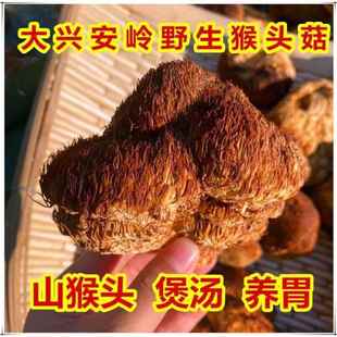 新货大兴安岭深山猴头菇干货新东北特产 野生猴头菇不硫熏