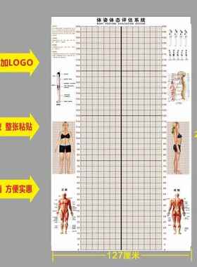 AL100256体体位纸背景体测姿身房体态评估表墙网格私教墙健贴势链