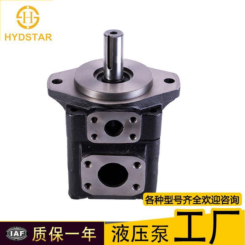 厂家现货denison丹尼逊T6C 014 1R01 C1叶片泵液压压铸机T6c