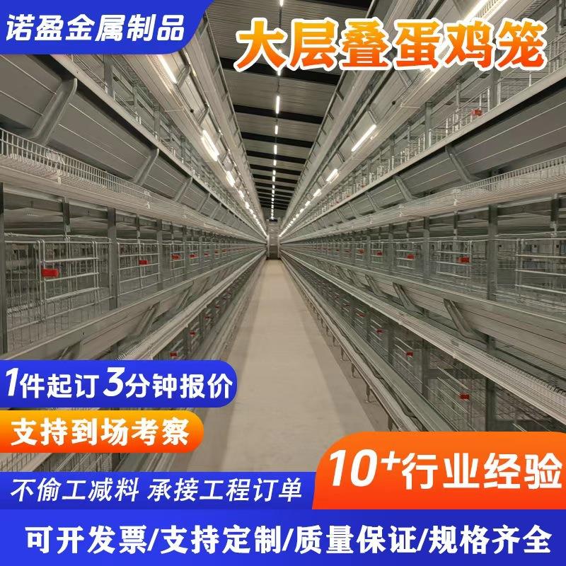 全自动大层叠蛋鸡笼养鸡场蛋鸡养殖设备自动化养殖笼具镀锌蛋鸡笼