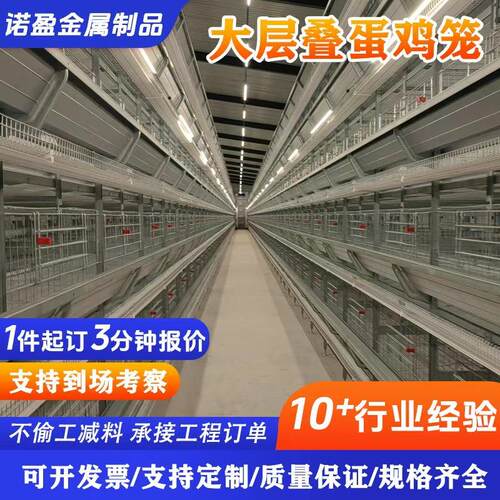 全自动大层叠蛋鸡笼养鸡场蛋鸡养殖设备自动化养殖笼具镀锌蛋鸡笼