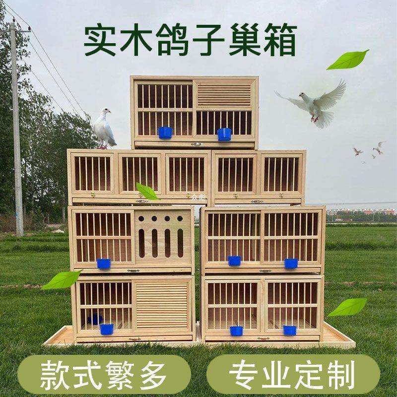 信鸽鸽子巢箱配对笼赛鸽巢鸽子配对笼巢箱实木鸽子笼