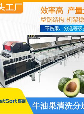 嘉创牛油果清洗重量分级机水果产业园多等级分选加工专用设备