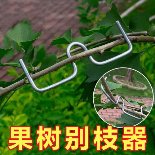 果树拉枝定型器SM型m型别枝压枝苹果柑橘月季盆景用弯枝夹神器