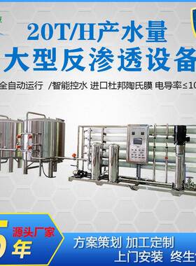 厂家直销20吨工业大型水处理设备电子化工去离子水过滤装置