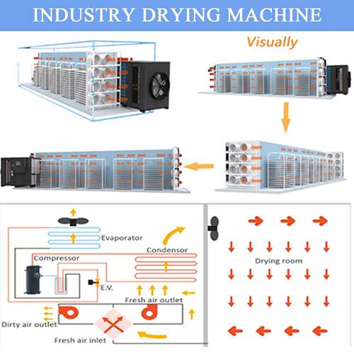 出口热泵水果蔬菜烘干机 Heat Pump Dryer Fruit Drying Machine