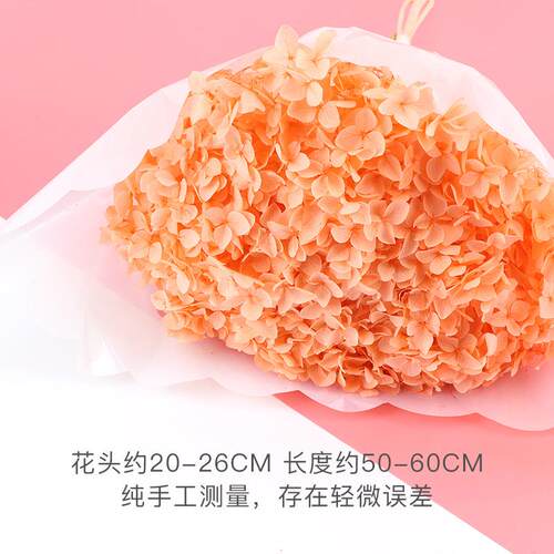 云南永生花单支安娜绣球干花花束花材diy保鲜花婚庆拍摄道具