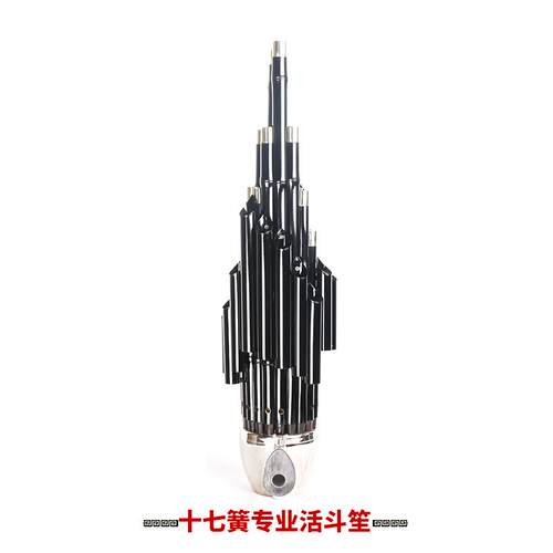 正品新艺17簧14簧扩笙全乐器大圆笙方笙修笙工具竽乐器笙包音学初