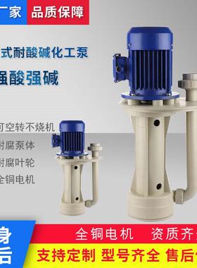 液下泵可空转槽内泵电泳泵FRPP塑料液下泵加长50CN-4塑料泵