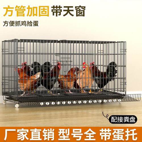 鸡笼子家用养鸡笼大号特大号自动清粪折叠养殖笼鸡舍铁丝网鸭鹅笼
