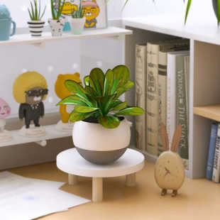 桌面花架办公桌多肉盆栽小型增高架迷你花盆植物架托架绿植摆放架