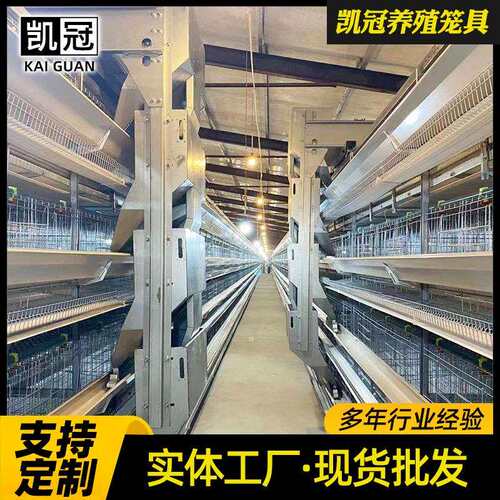 立体框架式蛋鸡笼Q235材质垂直型大规模养殖场大层叠鸡笼设备厂家