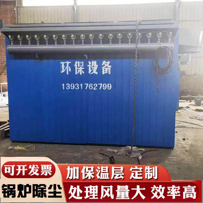 保温除尘器锅炉脉冲布袋单机除尘环保设备高温生物质锅炉除尘器