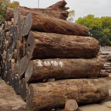 金丝楠木缅甸金丝楠木原木茶盘板材面板供应古典家具料工艺原料,基础建材,原木木方,淘宝优惠券,粉丝福利购,淘宝优惠卷