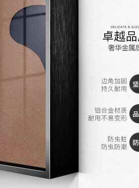 网红正几何色块抽方象简入户过玄关装约饰画形餐厅客厅挂画道走廊
