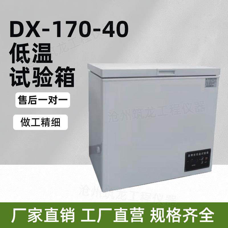 DX-170-40型低温试验箱实验室工业冰箱小型低温冷冻箱厂家供应