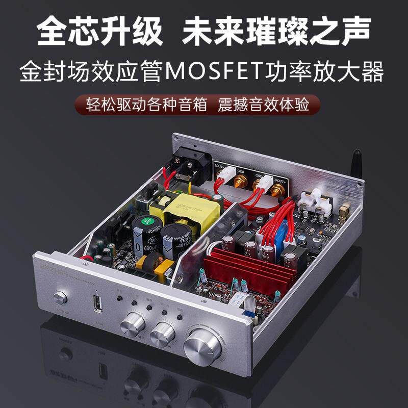 伟良PA-ir600金封场效应MOS管D类数字功放机hifi发烧大功率家用