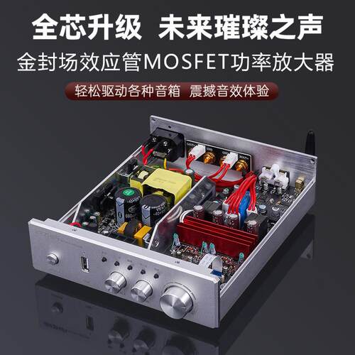 伟良PA-ir600金封场效应MOS管D类数字功放机hifi发烧大功率家用