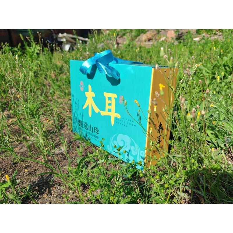 厂家批发东北野生蘑菇秋木耳包装盒手提礼盒（空纸箱）一斤装