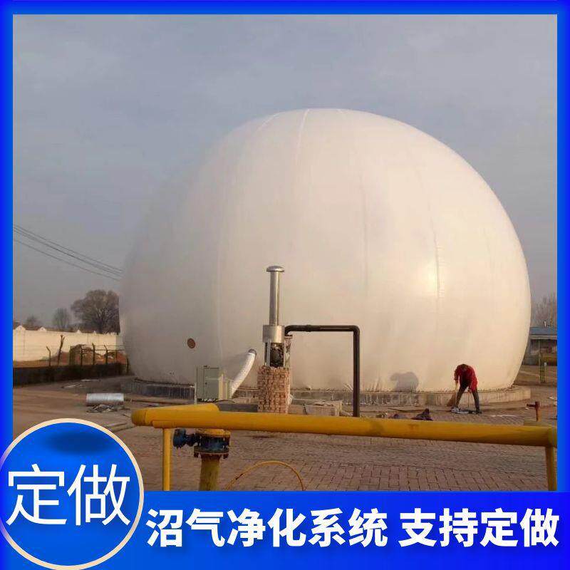 沼气软体储气柜养殖场工业厌氧处理沼气存储设备独立式双膜气柜