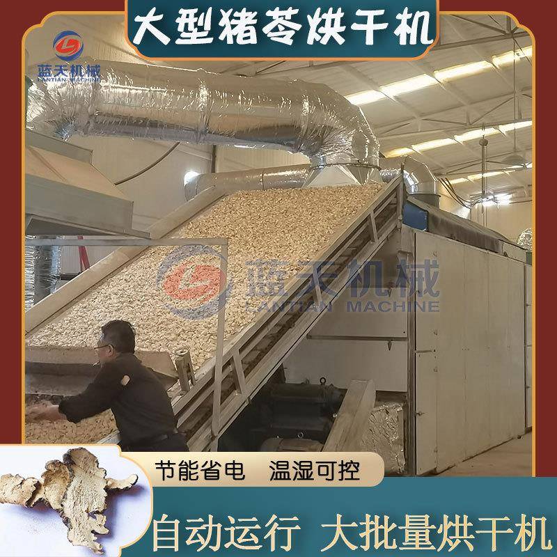 大型猪苓烘干机多层网带野猪粪猪茯苓切片烘干设备猪灵芝干燥机