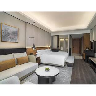 智选假公日SEE酒店板民宿寓家具样标间间全套客房双人床宾馆工程