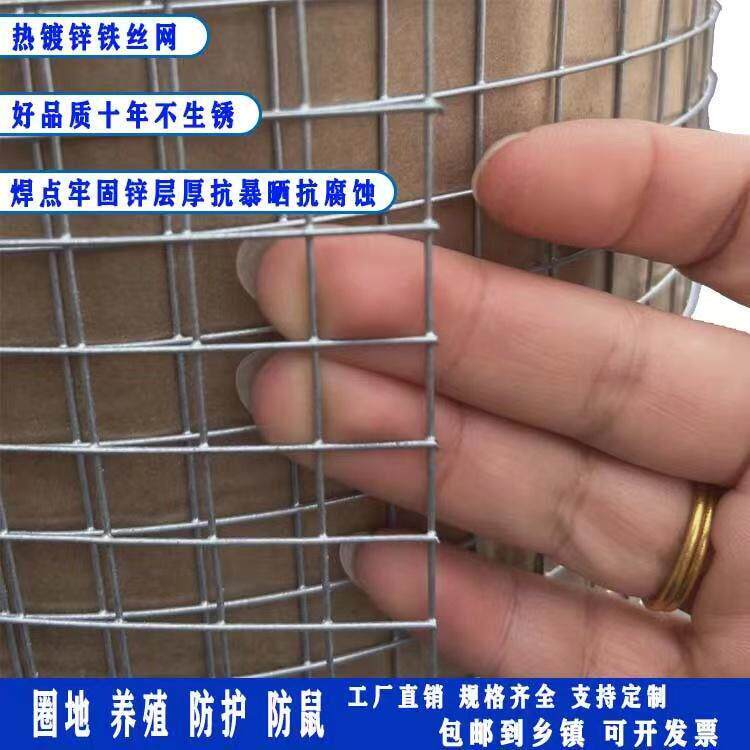 热镀锌钢丝网户外防锈铁丝网养殖鸡鸭鹅围网鱼塘果园防护栏小孔网