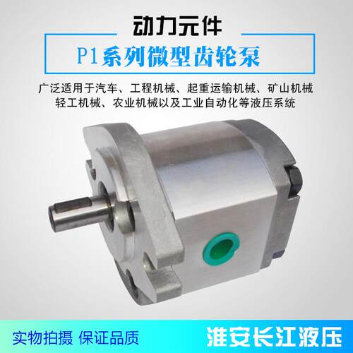 P1系列高压齿轮泵高效液压齿轮油泵现货供应液压齿轮泵长江液压