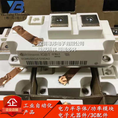 BSM400GA120DN2S BSM400GA120DLC BSM600GA120DLC BSM200GA170DLC