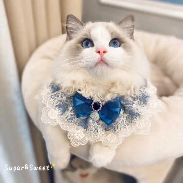 猫咪口水巾布偶猫围脖宝石蕾丝围兜公主风狗狗脖子装饰覆古风领结