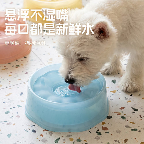 饮水器宠物宠物喂食狗狗慢食碗