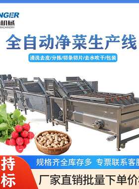 全自动果蔬清洗机土豆大姜清洗吹干机清水笋气泡喷淋清洗机