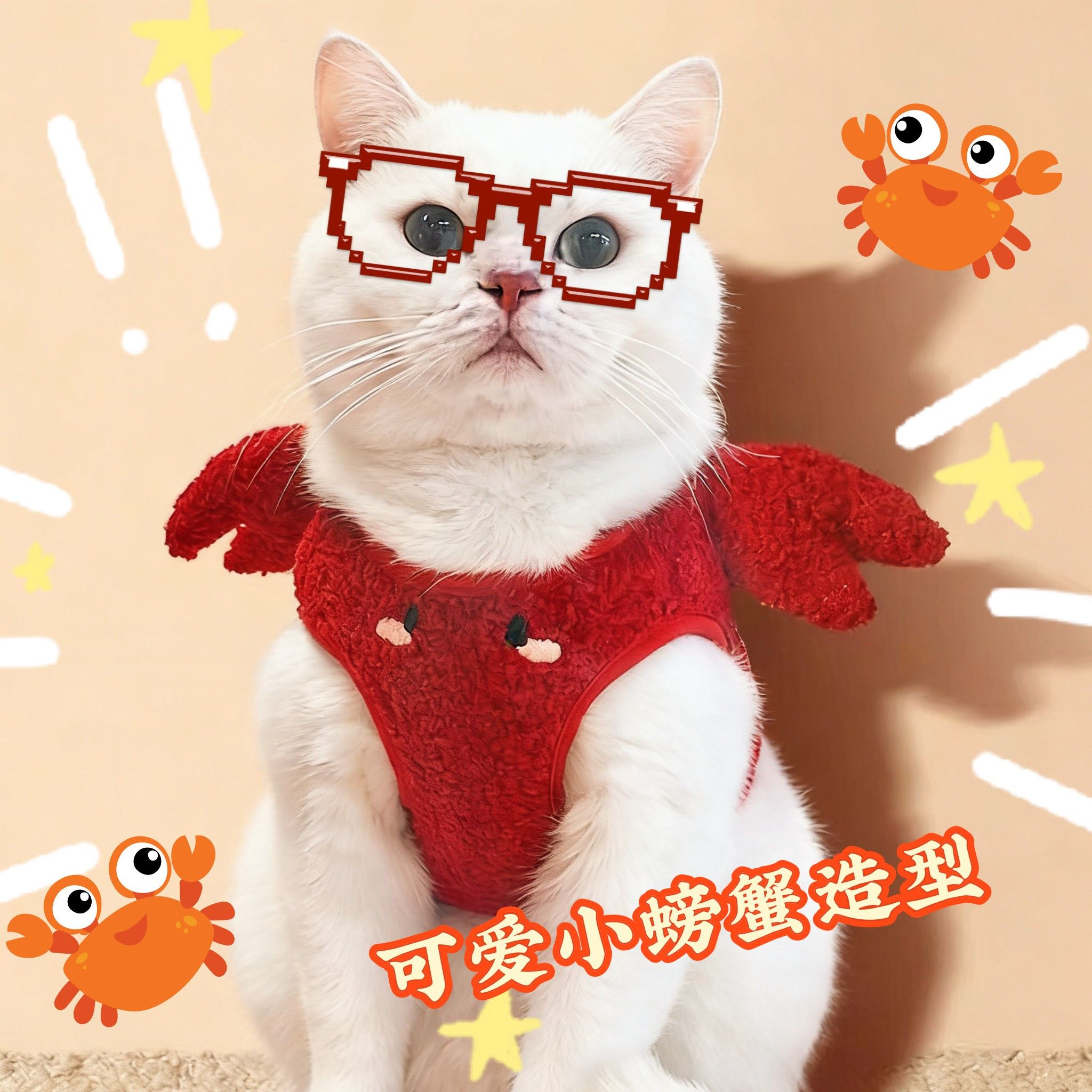 狗狗牵引胸背加绒款猫咪背心宠物卡通加厚款胸背红色喜庆中小型犬图片