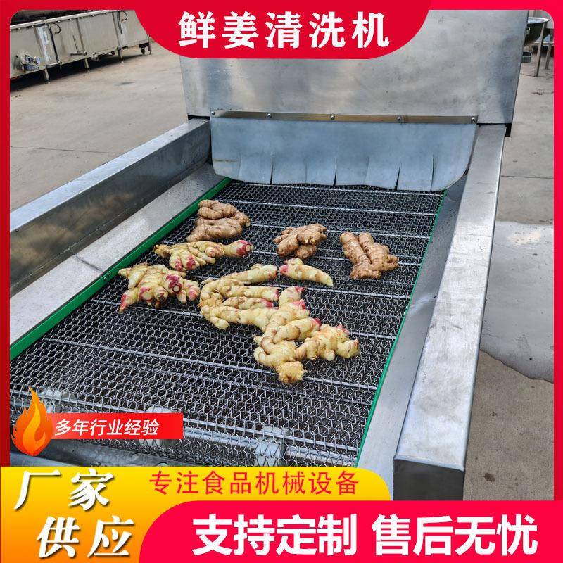 中药材高压喷淋清洗机黄芩去泥高压喷淋清洗机设备天痳喷淋清洗机