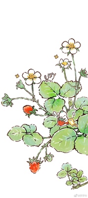 简介说古今男士内裤怎么样？大佬评测是名牌吗？