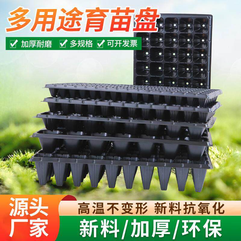 育苗盘穴盘育苗盆育苗盒营养钵营养杯育苗器专用培育箱