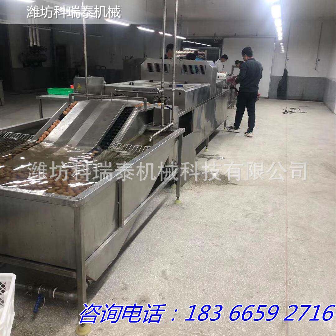 厂家供应中小型洗蛋机 鸡蛋 鸭蛋 泥蛋 盐水蛋清洗机 双排洗蛋机