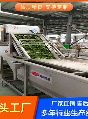 商用杏干葡萄干清洗流水线 果蔬清洗流水线 中央厨房叶菜清洗设备