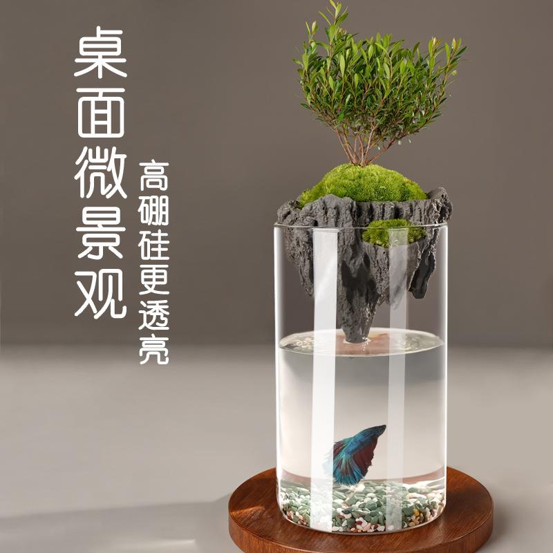 简约花瓶中古高级感玻璃瓶制品微景观生态瓶水培透明植物玻璃绿植