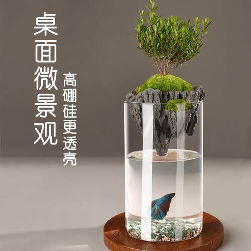 简约花瓶中古高级感玻璃瓶制品微景观生态瓶水培透明植物玻璃绿植