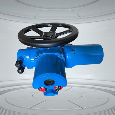 SLM20-36LTC伯纳德200Nm推力型阀门电动装置SLM20-36LTN