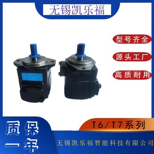 压铸机高压叶片泵T6D-045-3R01 注塑机油泵T6D-042-1R00-B5