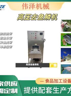 全自动高压水喷淋除鱼鳞的机器设备鲜鱼去鳞伟泽机械