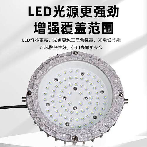 防爆灯20w30w40w50w60w70w加油站厂房车间LED防爆照明灯